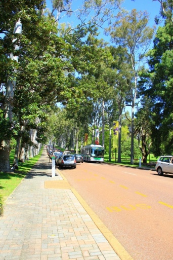 Perth - Kings Park