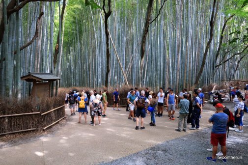 Kyoto - Arashiyama bamboo grove